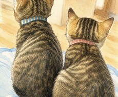 生年月日で相性占います イメージ1