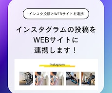 WEBサイトにインスタグラムの埋め込みを行います インスタグラムに注力している方におすすめのプランです！