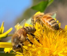 異性の相談、愚痴、暇つぶし、何でもお話聞きます イメージ1