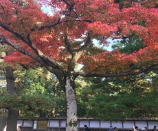 就活相談可。面接で好印象を与える方法を教えます