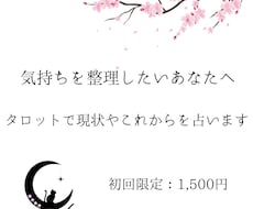 別次元のお相手様の本音占います お相手様の本音を聞き出す、タロットお試しプラン