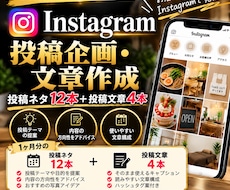 Instagramの投稿企画を1ヶ月分作成します イメージ1