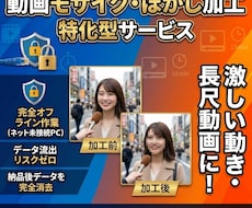 激しい動きや長尺動画のモザイク・ぼかし加工します 完全オフライン作業で安心！30分動画も最短1日スピード納品！