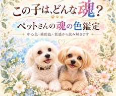 ペットさんの魂の色と特性を読み解きます 〜この子は、どんな魂？色と質感から見ていきます〜