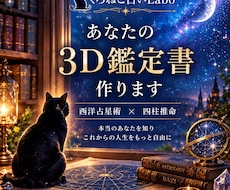 あなたの【３Ｄ鑑定書】作ります イメージ1