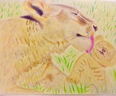 色鉛筆で暖かみのある絵を描かせて頂きます イメージ1