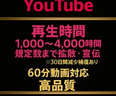 YouTube収益化！再生時間増加します 30日間保証有り★最大4,000時間まで増加！