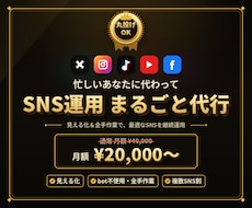 あなたの事業を理解しSNS運用をまるごと代行します 忙しいあなたに代わり、最適なSNSを見える化して継続運用
