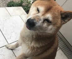 なんでも相談乗ります イメージ1