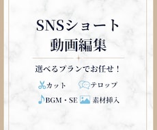 リール動画、ショート動画作成いたします イメージ1