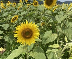 あなたのお話を満足するまでお聞きします イメージ1