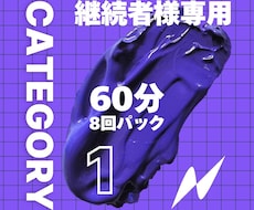 カテゴリー1　60分×8回分英語レッスンします 2回目以降の方で月単位の継続購入をいただける方専用プランです