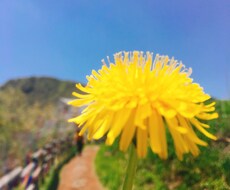 あなたのお話、30分ひたすら聞きます イメージ1