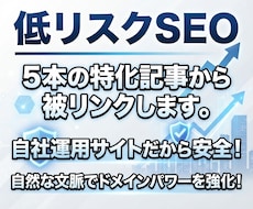 低リスクSEO/5本の特化記事から被リンクします イメージ1