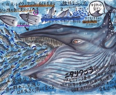 海洋生物のイラスト描きます 小さな魚から大きなクジラまで、種類色々お任せください！