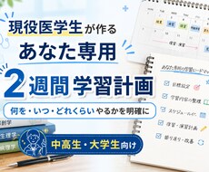 現役医学生があなた専用の学習計画を作ります イメージ1