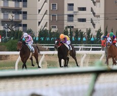 金沢競馬・究極の馬券術教えます