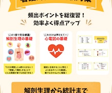 看護師国家試験 | 国試の要点のみを総復習できます 解剖生理の基礎から統計学まで看護師国家試験の範囲を完全網羅！