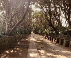 今すぐ話したいことがある人、即レスでお聞きします イメージ1