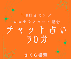 30分間のチャット占いでスムーズに鑑定します タイムリーにお悩み鑑定！時間内であれば制限なし