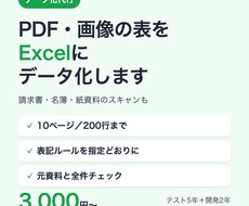 PDFや画像の表をExcelにデータ化します イメージ1
