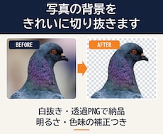 写真の背景を切り抜き・色味も整えます イメージ1