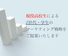 Z世代向けマーケティングのご提案を致します イメージ1