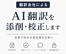 翻訳会社がAI翻訳を添削・校正します イメージ1