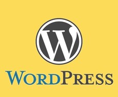 【最上位版】WordPress（ワードプレス）設置代行/ゴールドパッケージ