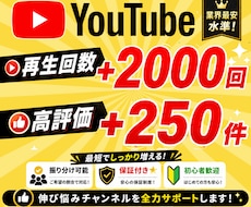 YouTube再生回数と評価が増えるまで拡散します 再生回数+2000回と評価+250件→1,500円