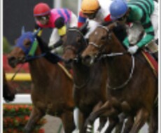 的中率「50％以上」の競馬予想データ、販売します 的中率50％以上、万馬券毎週的中♪  運営実績10年の予想だ