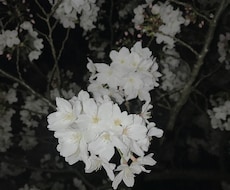 なんでも悩み受け付けます イメージ1