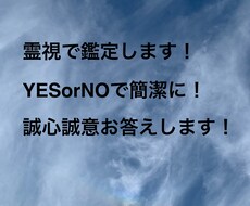 お困りの内容を霊視で鑑定します 霊視で鑑定質問をYESかNOで解決に向けてお手伝いをします。