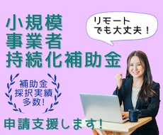 小規模事業者持続化補助金オンライン申請支援します イメージ1