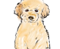 ゆるくて可愛いワンちゃんイラスト描きます イメージ1