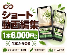YouTubeショート動画を1本から編集します イメージ1