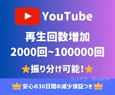 YouTube 再生回数2000回〜拡散します ⭐️振分可能！最大10万回まで対応