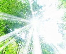 あなたの願い叶えます イメージ1