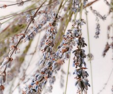 波乱万丈な人生を送ってきた私が人生相談に乗ります イメージ1