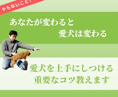 愛犬を上手にしつける重要なコツ教えます やらない行動を学ぶとやるべき指導方法を学ぶより成果は大きい！