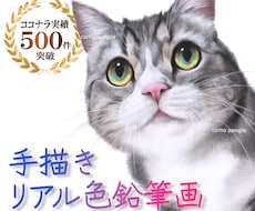 ハイクオリティなペット画を、色鉛筆で手描きします ♪精密描写＊ペットの肖像画＊記念プレゼント＊インテリアアート