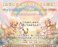 お空のペットさんとアニマルコミュニケーションします 【ペットの終活PDE付】【高波動時のみ限定】募集いたします。