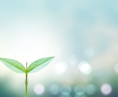 心を休ませるカウンセリング相談をします イメージ1