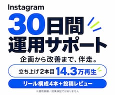 インスタの企画と運用改善を30日支援します イメージ1