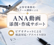 ANA客室乗務員の選考用動画を添削、ご相談承ります イメージ1