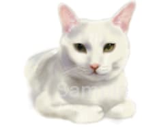 大切なペットのイラストをお描きします イメージ1
