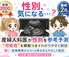 産婦人科医がエコーの性別予測と見え方を解説します 性別予測が可能か不安な方はお見積もりから無料で確認可