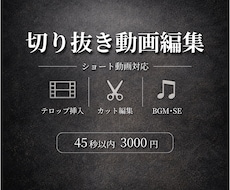 ショート動画編集します イメージ1