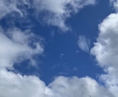 お写真から霊視・直感で鑑定します イメージ1