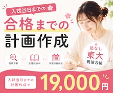 東大生が現状に合わせて最適な合格ルートを提案します イメージ1